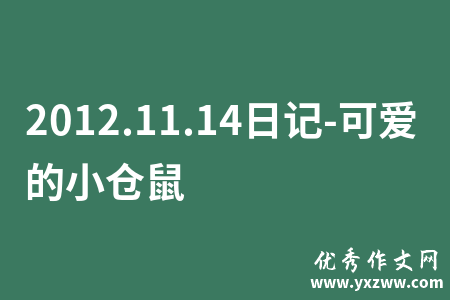 2012.11.14日记-可爱的小仓鼠