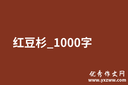 红豆杉_1000字