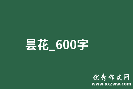 昙花_600字