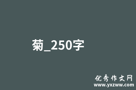 菊_250字