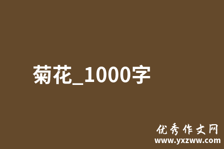 菊花_1000字